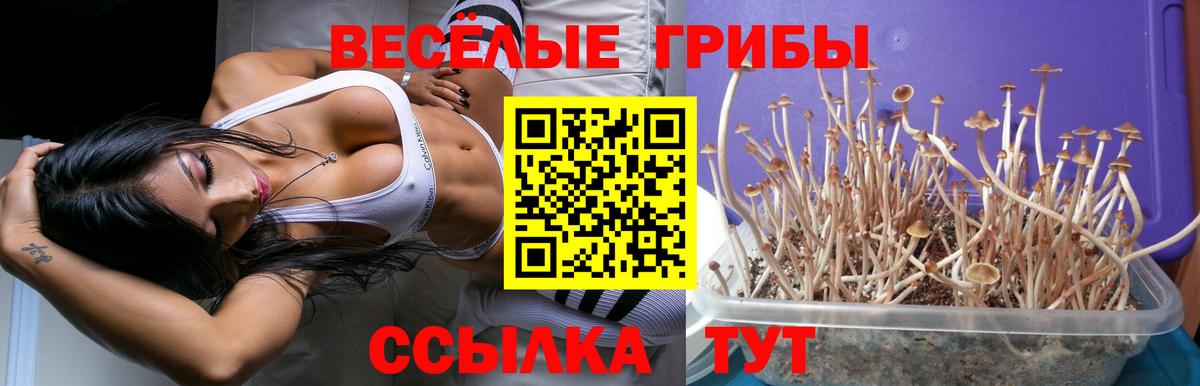 Псилоцибиновые грибы прущие грибы  Галлюциногенные грибы MAGIC MUSHROOMS  Вход с VPN  Первоуральск 